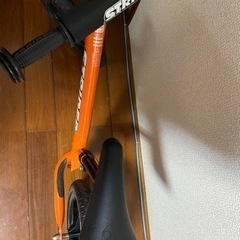 ストライダーの画像