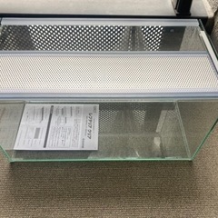 【美品】レプテリアクリア450 スリム
