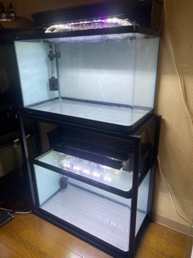 (超美品) 60cmガラス水槽 (曲げガラスタイプ) フルセット×2台+新品水槽台