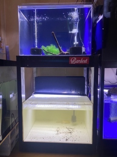 《美品》600×600アクリル水槽2台 特注台付セット