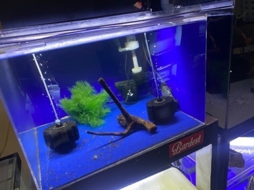 《美品》600×600アクリル水槽2台 特注台付セット