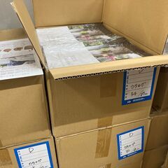 カタログ【あげます】引き取りに来てくれる方限定！