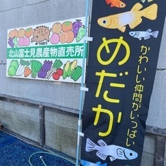 北山富士見農産物直売所メダカ販売セール