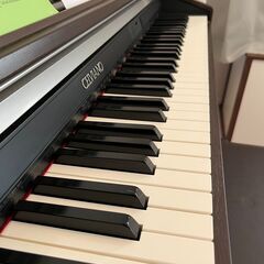 CASIO 電子ピアノAP-420BNの画像