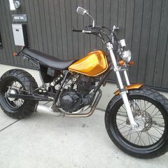 ★早い者勝ち！程度良好★TW200　DG07J　セル付き！実働車★外装カラー変更可能！ヤマハ　ディスクブレーキ！TW200E　ロンスイカスタムの画像