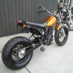 ★早い者勝ち！程度良好★TW200　DG07J　セル付き！実働車★外装カラー変更可能！ヤマハ　ディスクブレーキ！TW200E　ロンスイカスタムの画像
