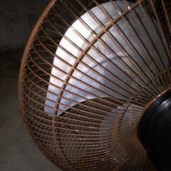 【取引中】業務用扇風機の画像