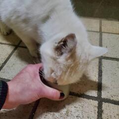 シングルファザーだけど、友達ほしい😢