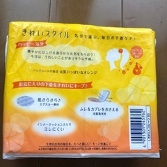 パンティーライナー3個セットの画像