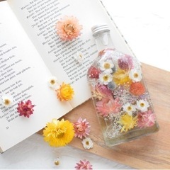 貝細工tmの画像