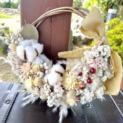 貝細工tmの画像