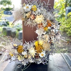 貝細工tmの画像