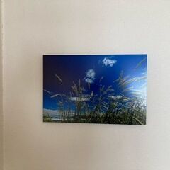 写真パネル
