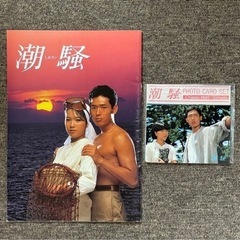 値下げしました‼️潮騒の画像