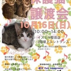 保護猫の譲渡会　10/16(日)