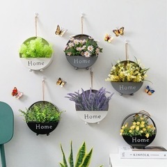 ガーデニング.　玄関　おしゃれ　可愛いの画像