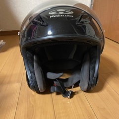 オージーケーカブトの画像