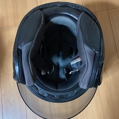 オージーケーカブトの画像
