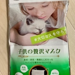 子供の贅沢マスク　個包装6枚