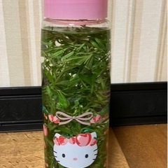 ラベンダー剪定枝の画像