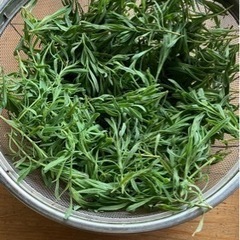 ラベンダー剪定枝の画像