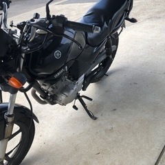 早い者勝ち!実働YBR125の画像
