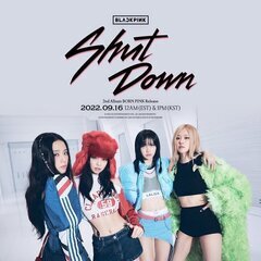 BLACKPINK/shut downコピユニメンバー募集！