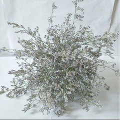 水なしで花瓶に飾れるブルーファンタジアの画像