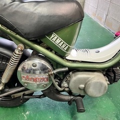 チャピィ(チャッピー)、50cc、2AT(オートマ)の画像