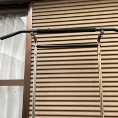 懸垂代（値下げしました）