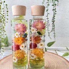 花かんざしpjgの画像