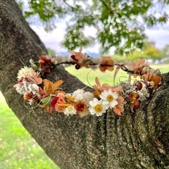 花かんざしpjgの画像