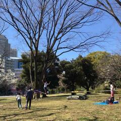 横浜 de スラックライン♪   初心者さん～上級者さん。 - 横浜市