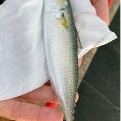 南湖バス釣り🎣+@なんでも(*´ω`*) - メンバー募集