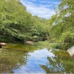 南湖バス釣り🎣+@なんでも(*´ω`*) − 滋賀県