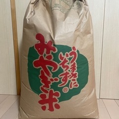 令和3年ササニシキ玄米