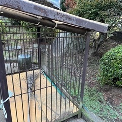 取引中)鉄の檻？です！犬などのペットにいかがでしょうか？の画像