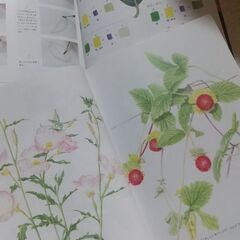 植物画ボタニカルアート本４冊の画像