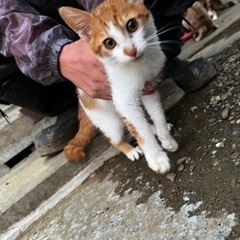 ★全て譲渡完了致しました。ありがとうございました
