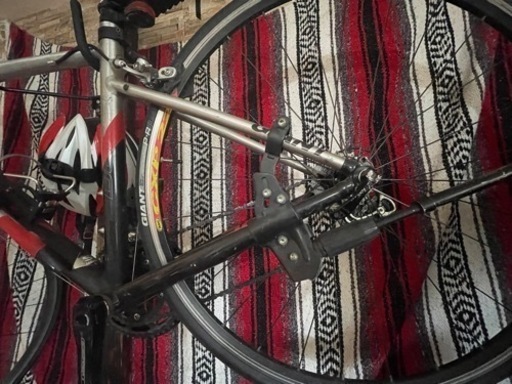 GIANT DEFY