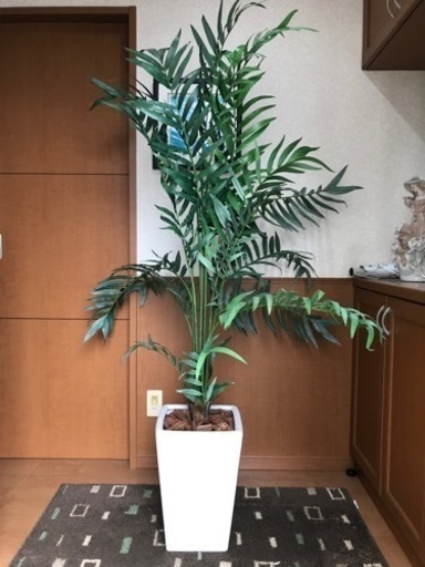 観葉植物　造花　フェイクグリーン