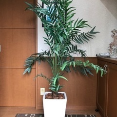 観葉植物　造花　フェイクグリーン