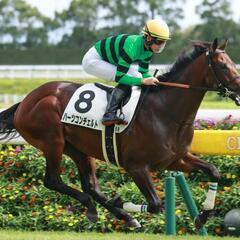 競馬友達募集！🏇