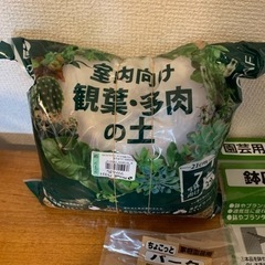 植物系のキットの画像