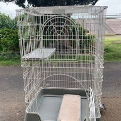 猫ゲージ(中古品)