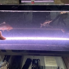 観賞魚用　水中蛍光灯(全長約130㌢)  ☆蛍光灯愛好家必見☆の画像