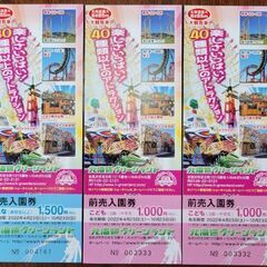 グリーンランド入園券　親子セット　3枚