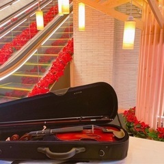 Dinner time concert🎻