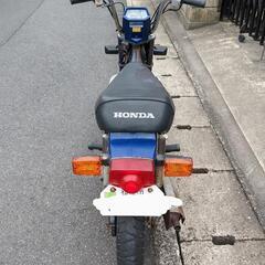 //交渉中//シャリーの画像