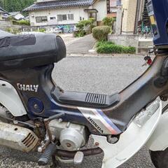 //交渉中//シャリーの画像